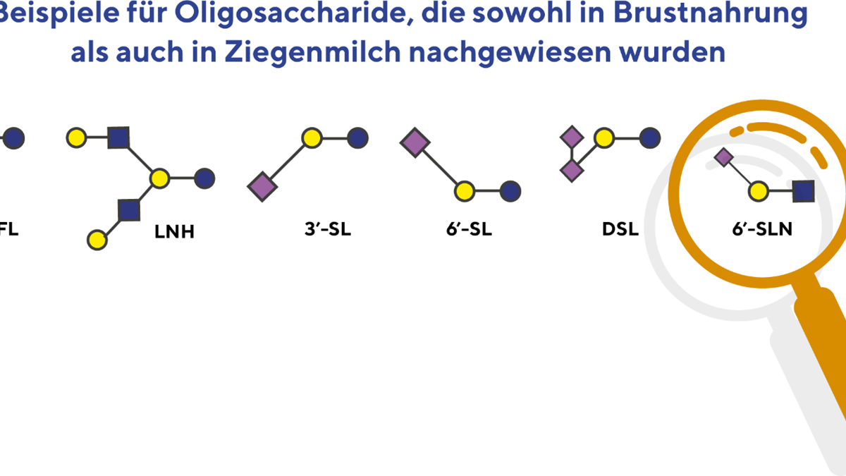 Oligosaccharide